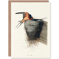 Artery8 John James Audubon Art Card Birds of America Barn Swallow in White