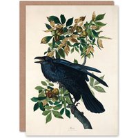 Artery8 John James Audubon Art Card Birds of America Raven in White