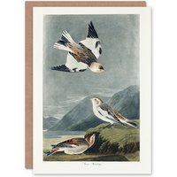 Artery8 John James Audubon Art Card Birds of America Snow Bunting in Grey