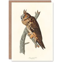 Artery8 John James Audubon Art Card Birds Of America Long Eared Owl in White