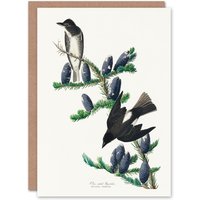 Artery8 John James Audubon Art Card Olive Sided Flycatcher Bird on Fir Tree in White