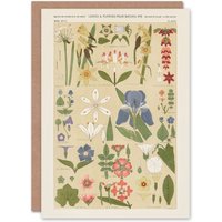 Artery8 Owen Jones Art Card Leaves & Flowers From Nature No 8 in Beige
