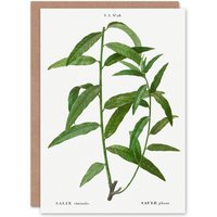 Artery8 Pierre-Joseph Redouté Art Card Basket Willow Vintage Botanical in White