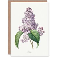 Artery8 Pierre-Joseph Redouté Art Card Lilac Vintage Floral Illustration in White