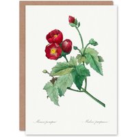 Artery8 Pierre-Joseph Redouté Art Card Callirhoe Poppy Mallow Flower in White