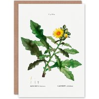 Artery8 Pierre-Joseph Redouté Art Card Sow Thistle Flower Bloom in White