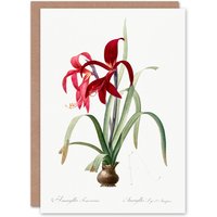 Artery8 Pierre-Joseph Redouté Art Card Aztec Lily Vintage Botanical in White
