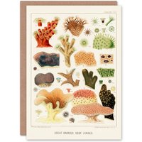Artery8 William Saville Kent Art Card Great Barrier Reef Corals Illustration in White