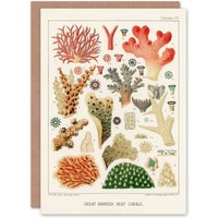 Artery8 William Saville Kent Art Card Great Barrier Reef of Australia Corals in White