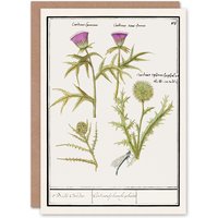 Artery8 Anselmus de Boodt Art Card Thistle & Artichoke Flowers in White