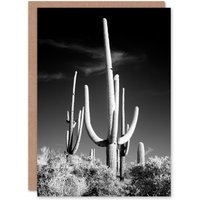 Artery8 Carol M Highsmith Art Card Saguaro Cactus Black White Photograph in Grey