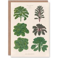 Artery8 Ernst Benary Art Card Kale & Brussel Sprouts Vintage Botanical in White