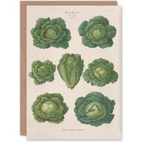 Artery8 Ernst Benary Art Card Savoy Cabbages Vintage Botanical in White