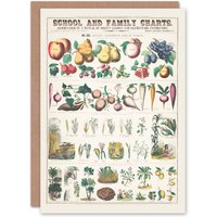 Artery8 Willson & Calkins Art Card School & Family Charts No XXI in White