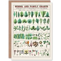 Artery8 Willson & Calkins Art Card Chart No XIX Vintage Botanical in White
