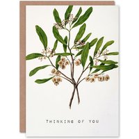 Artery8 Sarah Featon Thinking Of You Card New Zealand Hopbush Plant Floral in White