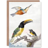 Artery8 Aert Schouman Art Card Kingfisher Toucan Bird & a Sparrow in White