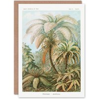 Artery8 Ernst Haeckel Art Card Tropical Nature Filicinae Fern Plants in Green