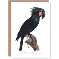 Artery8 Francois Levaillant Art Card Black Palm Cockatoo Parrot in White