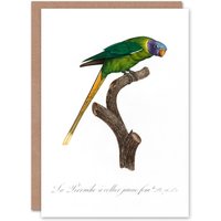 Artery8 Francois Levaillant Art Card Female Plum Headed Parakeet in White
