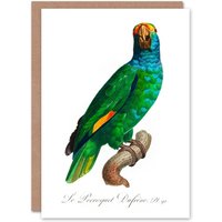 Artery8 Francois Levaillant Art Card The Blue Cheeked Amazon Parrot in White
