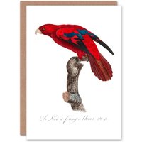 Artery8 Francois Levaillant Art Card The Blue Fringed Red Lori Parrot in White