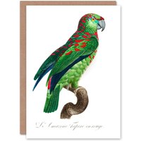Artery8 Francois Levaillant Art Card The Blue Fronted Amazon Parrot in White