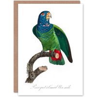 Artery8 Francois Levaillant Art Card The Blue Headed Parrot in White