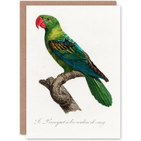 Artery8 Francois Levaillant Art Card The Great Billed Parrot in White