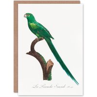 Artery8 Francois Levaillant Art Card The Long Tailed Parakeet in White
