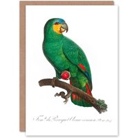 Artery8 Francois Levaillant Art Card The Orange Winged Amazon Parrot in White