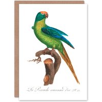 Artery8 Francois Levaillant Art Card The Peach Fronted Parakeet in White