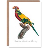 Artery8 Francois Levaillant Art Card The Rainbow Lorikeet Parrot in White