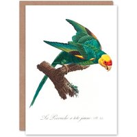 Artery8 Francois Levaillant Art Card The Yellow Crowned Parakeet in White