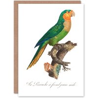 Artery8 Francois Levaillant Art Card The Yellow Headed Amazon Parrot in White
