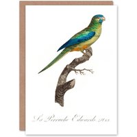 Artery8 Francois Levaillant Art Card Turquoise Ground Parakeet in White