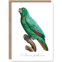 Artery8 Francois Levaillant Art Card Yellow Crowned Amazon Parrot in White