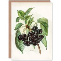 Artery8 John Wright Art Card Vintage Illustration of Early Rivers Cherries in White