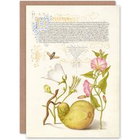 Artery8 Model Book of Calligraphy Art Card Beetle Flowers & Gourd