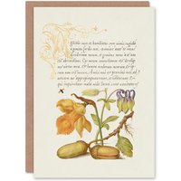 Artery8 Model Book of Calligraphy Art Card Daffodil Flower & Oak Acorns in Beige