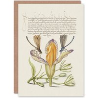 Artery8 Model Book of Calligraphy Art Card Damselflies on Spanish Iris in Beige