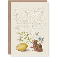 Artery8 Model Book of Calligraphy Art Card Gillyflower Almond & Frog in White