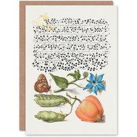 Artery8 Model Book of Calligraphy Art Card Talewort Pea & Lantern Plant in White