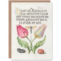 Artery8 Model Book of Calligraphy Art Card Tulip Ichneumon Wasp & Beans in White