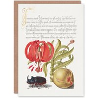 Artery8 Model Book of Calligraphy Art Card Turks Cap Lily Fig & Beetle in White