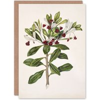 Artery8 Sarah Featon Art Card New Zealand Kohuhu & Karo Plant in Beige