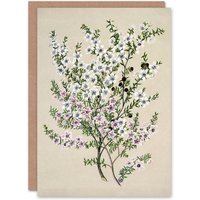 Artery8 Sarah Featon Art Card New Zealand Manuka Flowering Plant in Beige