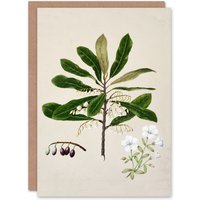 Artery8 Sarah Featon Art Card New Zealand Rauhuia & Hinau Flowers in Beige