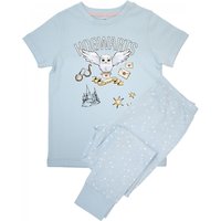 Hedwig Hogwarts Short Sleeved Long Pyjama Set Blue