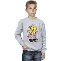 Looney Tunes Boy's You´re Perfect Tweety Sweatshirt in Grey | Size: 9-10 Years